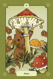 The Witch's Cat Torot