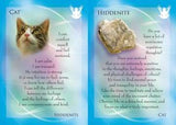 Animal Allies & Gemstone Guardians Cards