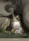 Fantasy Cats Oracle