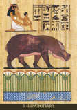 Egyptian Sacred Animals Oracle Cards