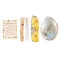 Bee Radiant Litha Spell Kit