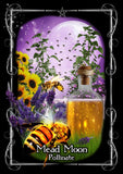 Witches' Moon Magick Oracle Cards: 48 full colour cards & 110pp guidebook