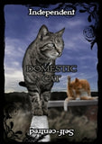 Animal Guidance & Aspects Oracle Cards