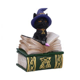 Binx Nemesis Now Spirit Earth