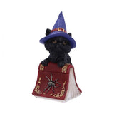 Nemesis Now Spirit Earth Hocus