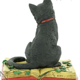 Spirit Earth Eclipse